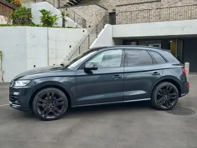 Audi SQ5 3.0 V6 TFSI — SUV sportif quattro, 353 ch et seulement 90'000 km — Außenansicht