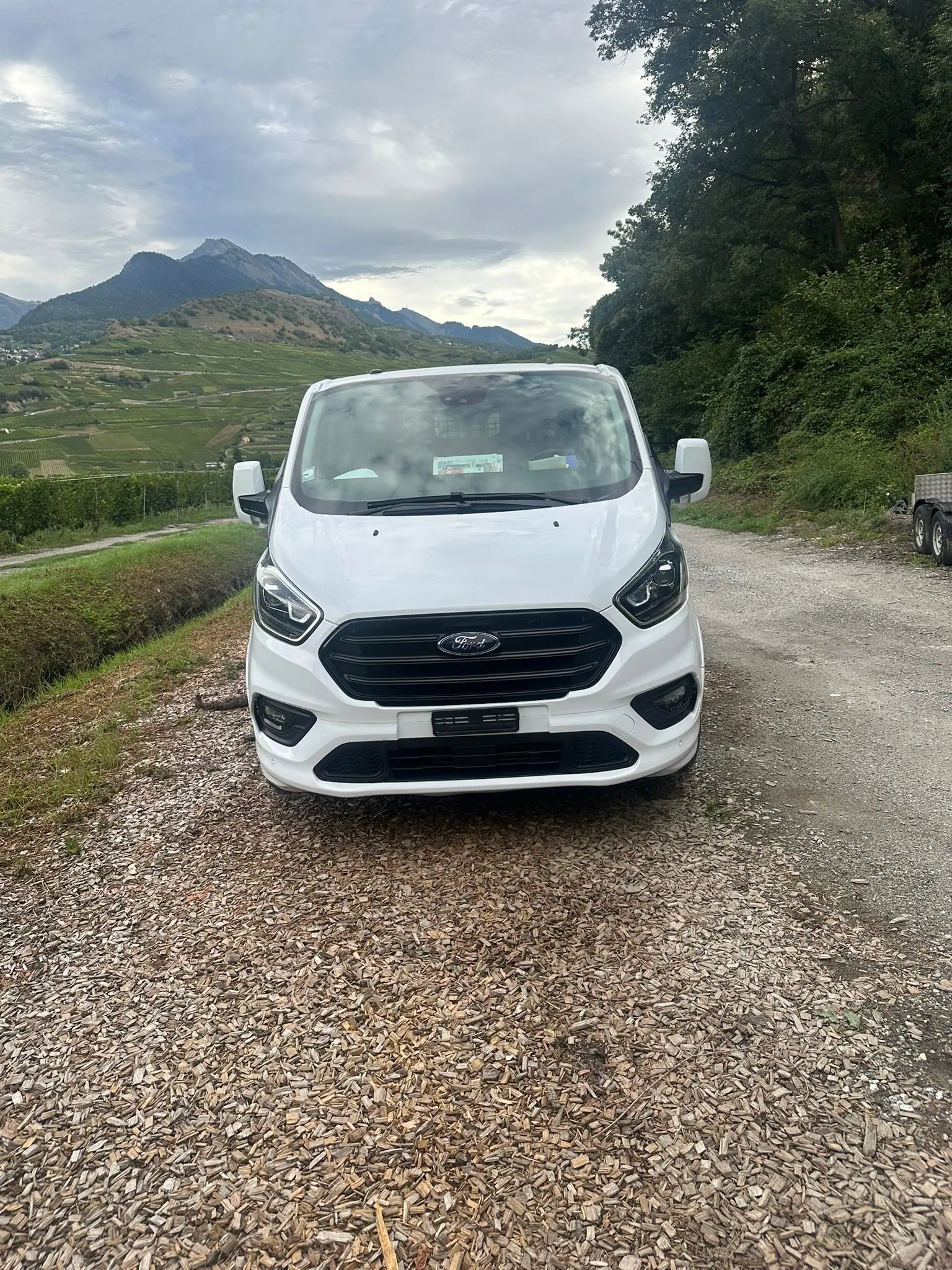 Ford Transit Custom 2019 occasion Erde — 2