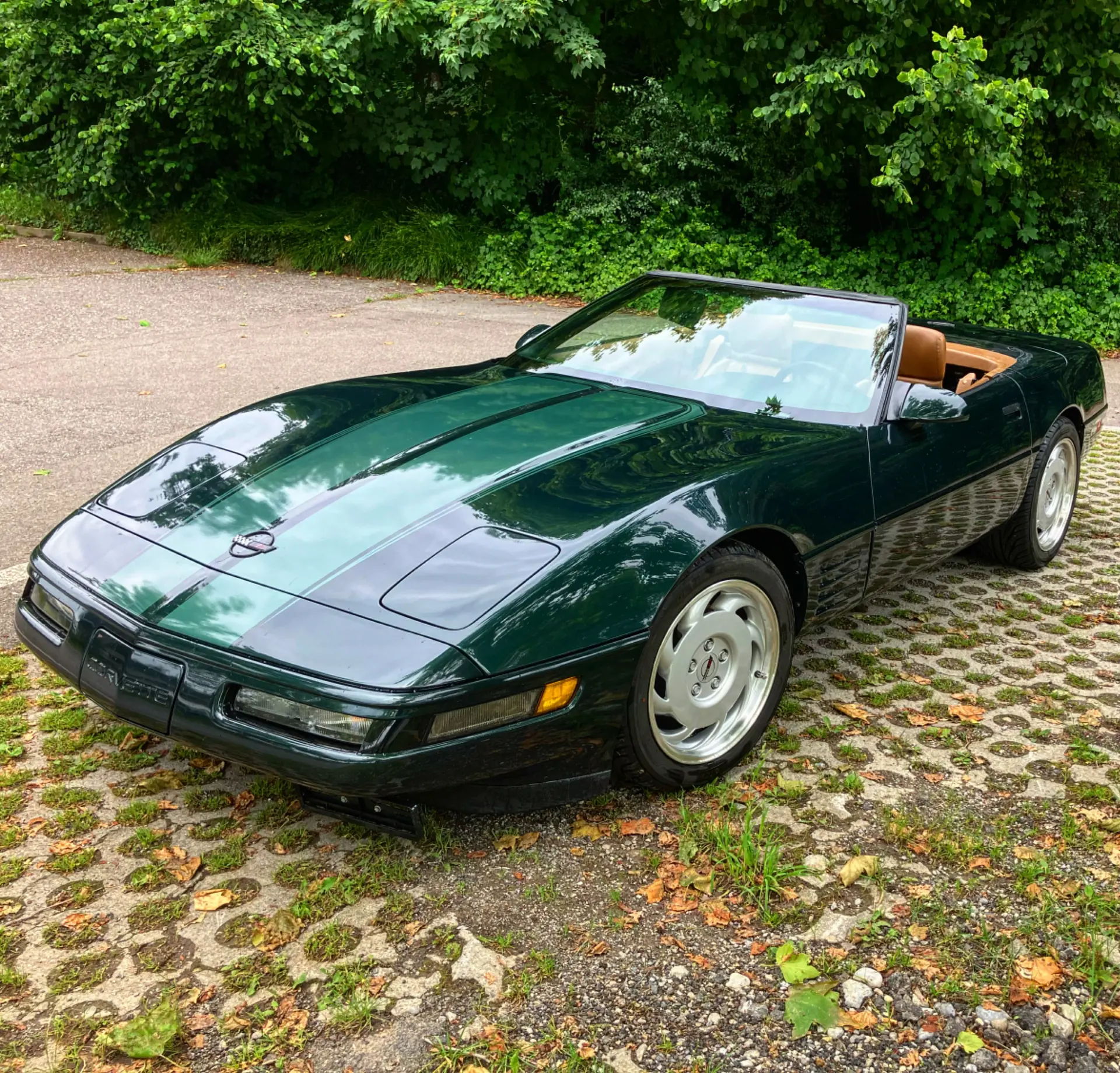 Chevrolet Corvette 1992 occasion Bern — 2