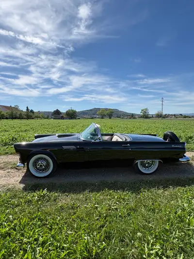 Ford Thunderbird Convertible 1956 — Légende américaine, moteur V8 312 ch — Außenansicht
