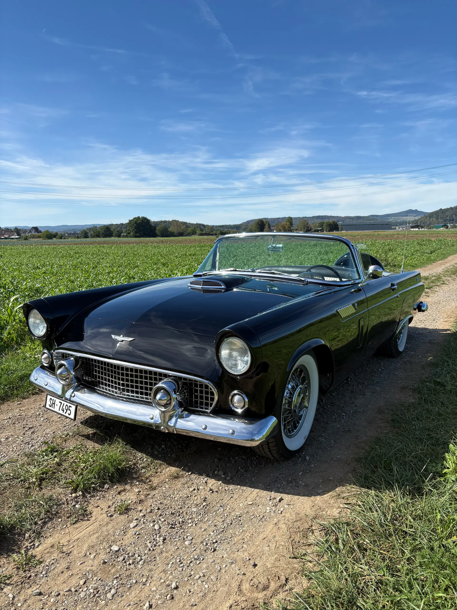 Ford Thunderbird 1956 occasion Ramsen — 3