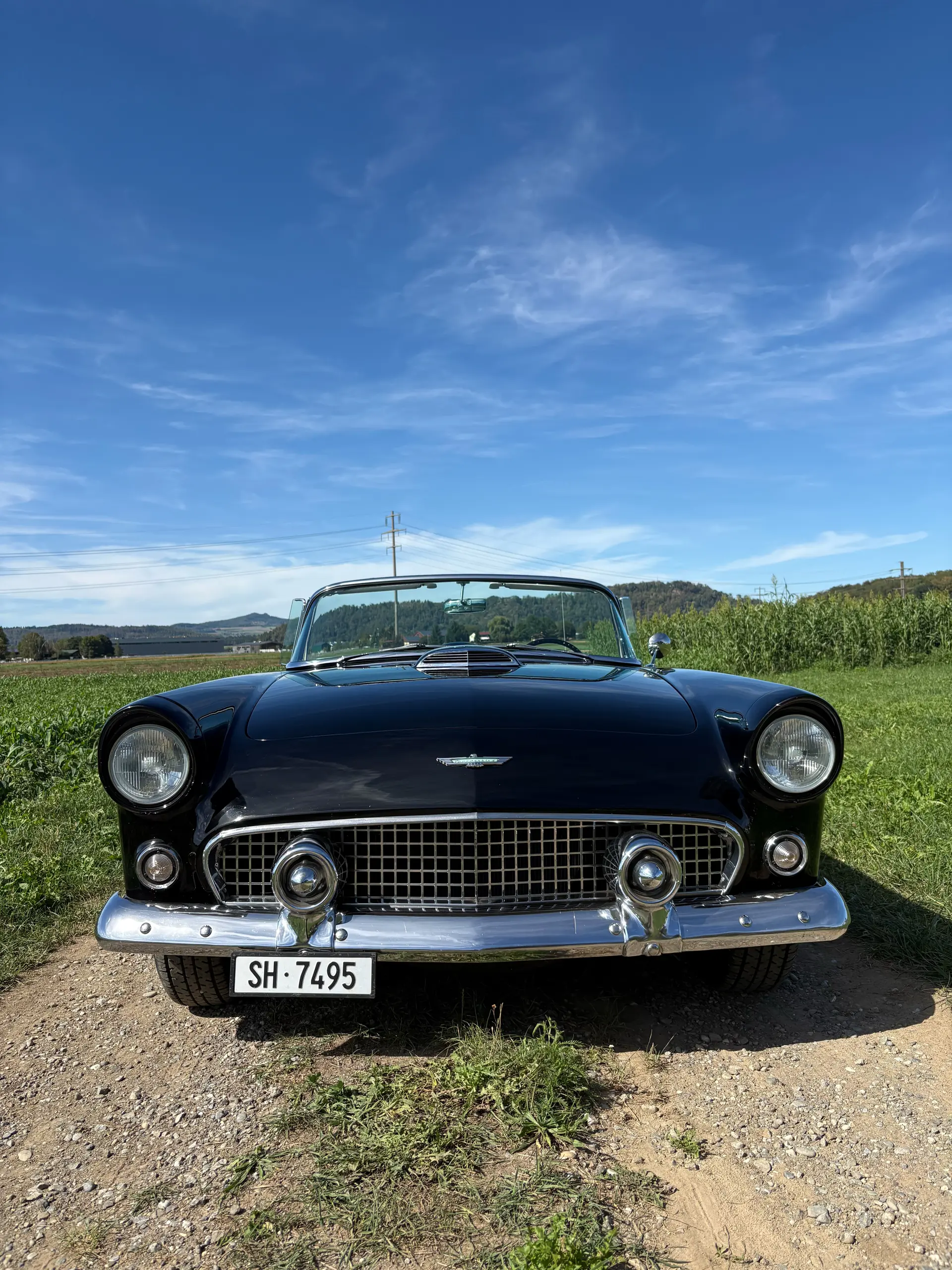 Ford Thunderbird 1956 occasion Ramsen — 2