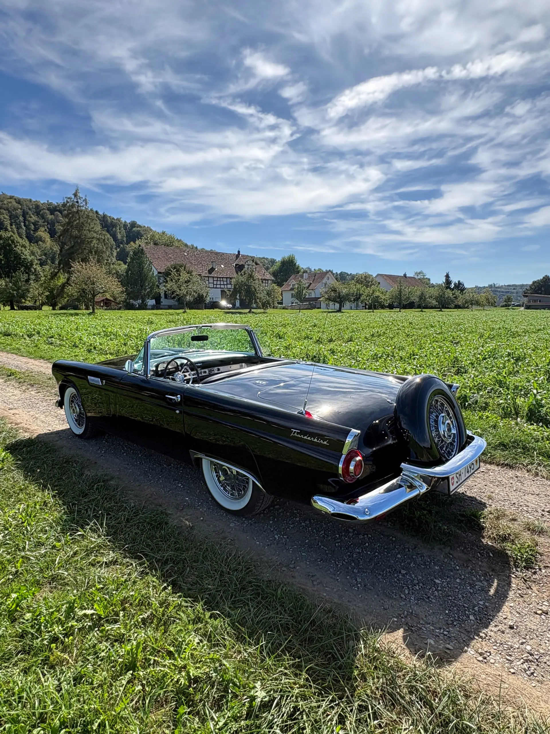 Ford Thunderbird 1956 occasion Ramsen — 4