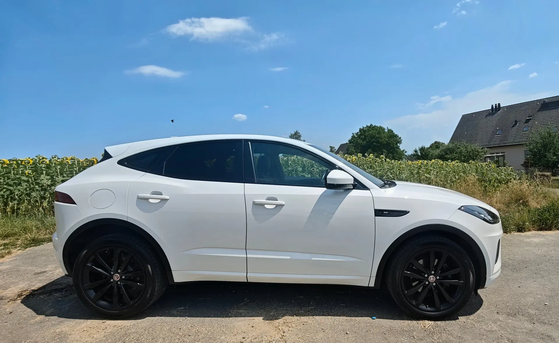 Jaguar E-Pace 2018 occasion Kloten — 1