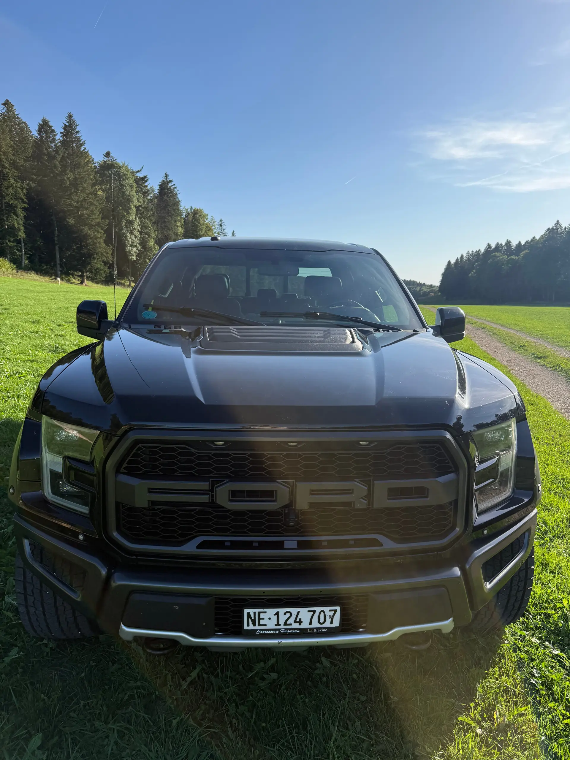 Ford F Pickup 2019 occasion Brot-Plamboz — 2