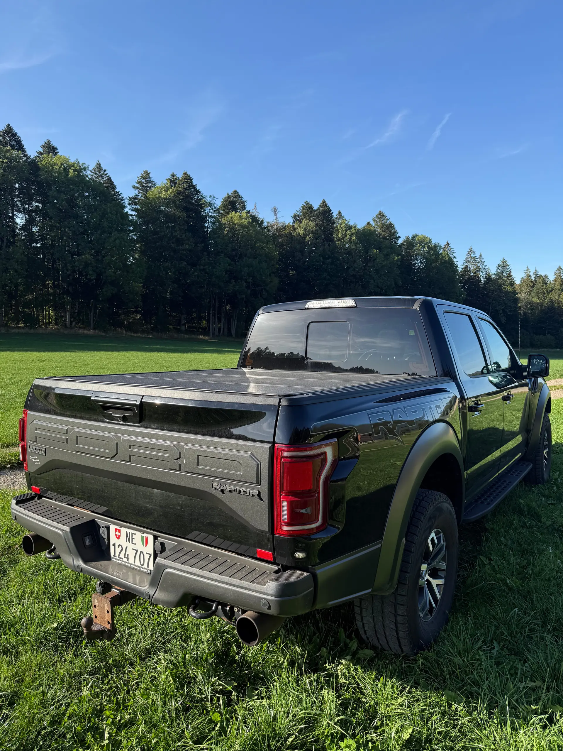 Ford F Pickup 2019 occasion Brot-Plamboz — 3