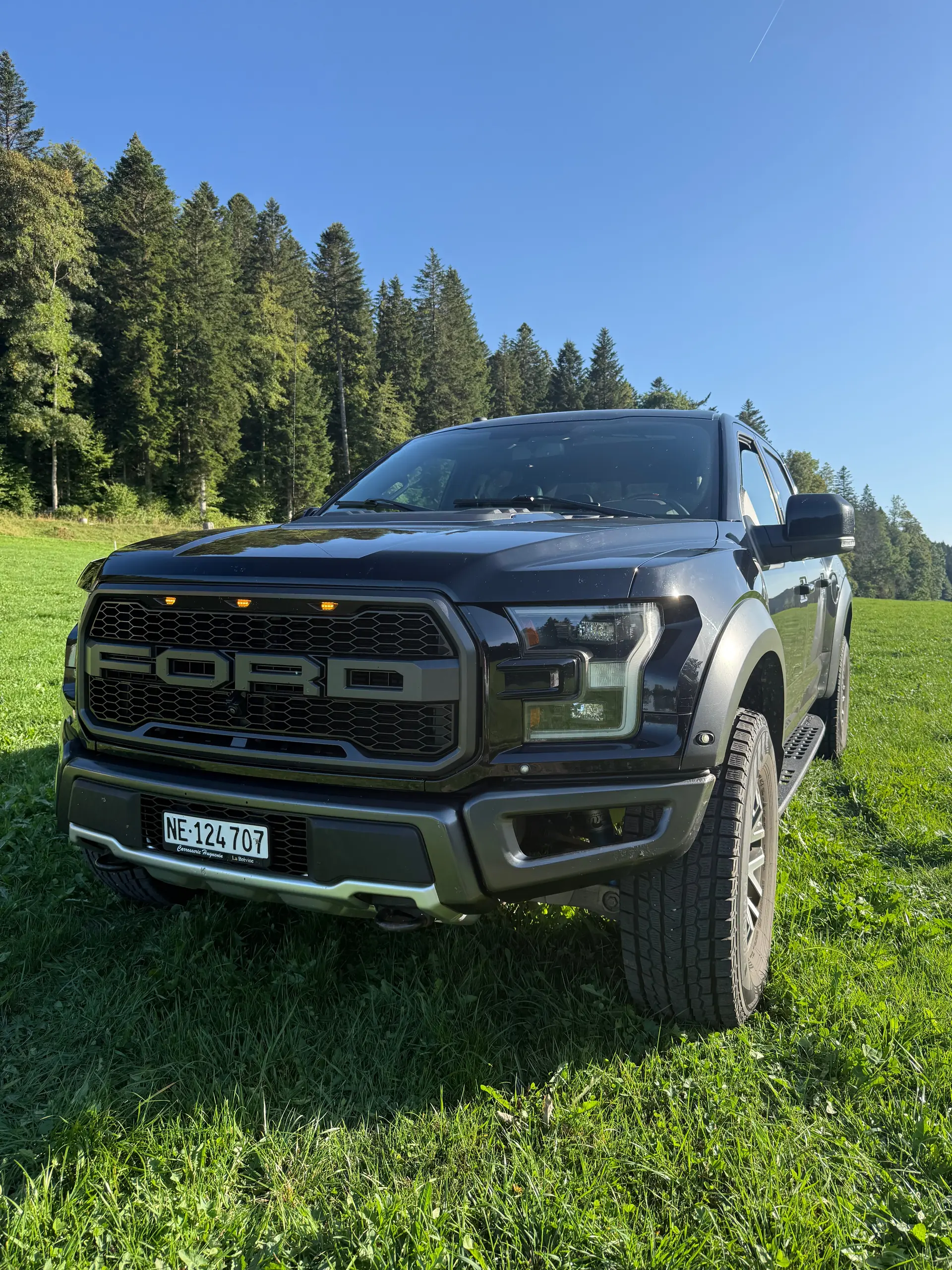 Ford F Pickup 2019 occasion Brot-Plamboz — 1