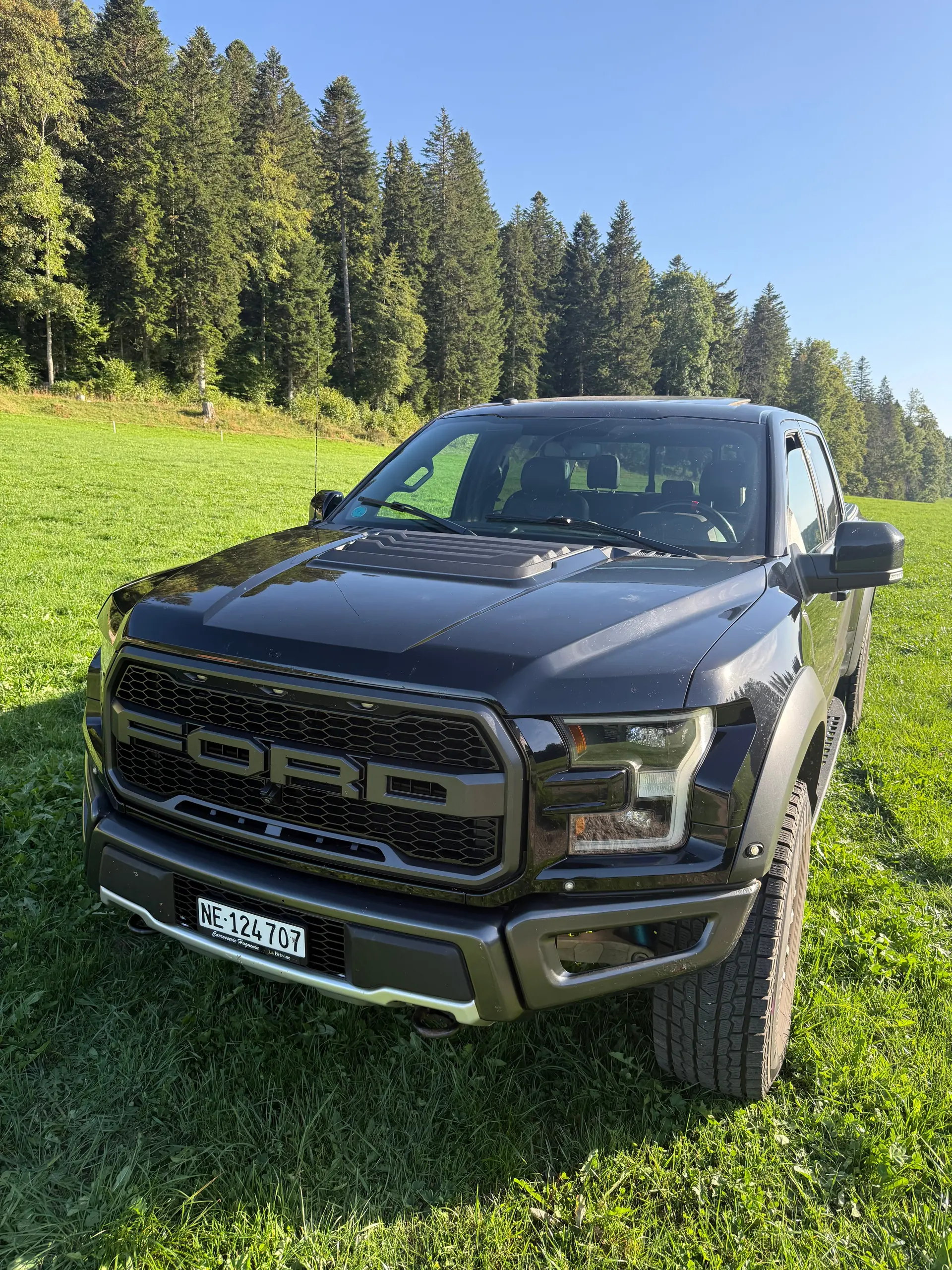 Ford F Pickup 2019 occasion Brot-Plamboz — 4