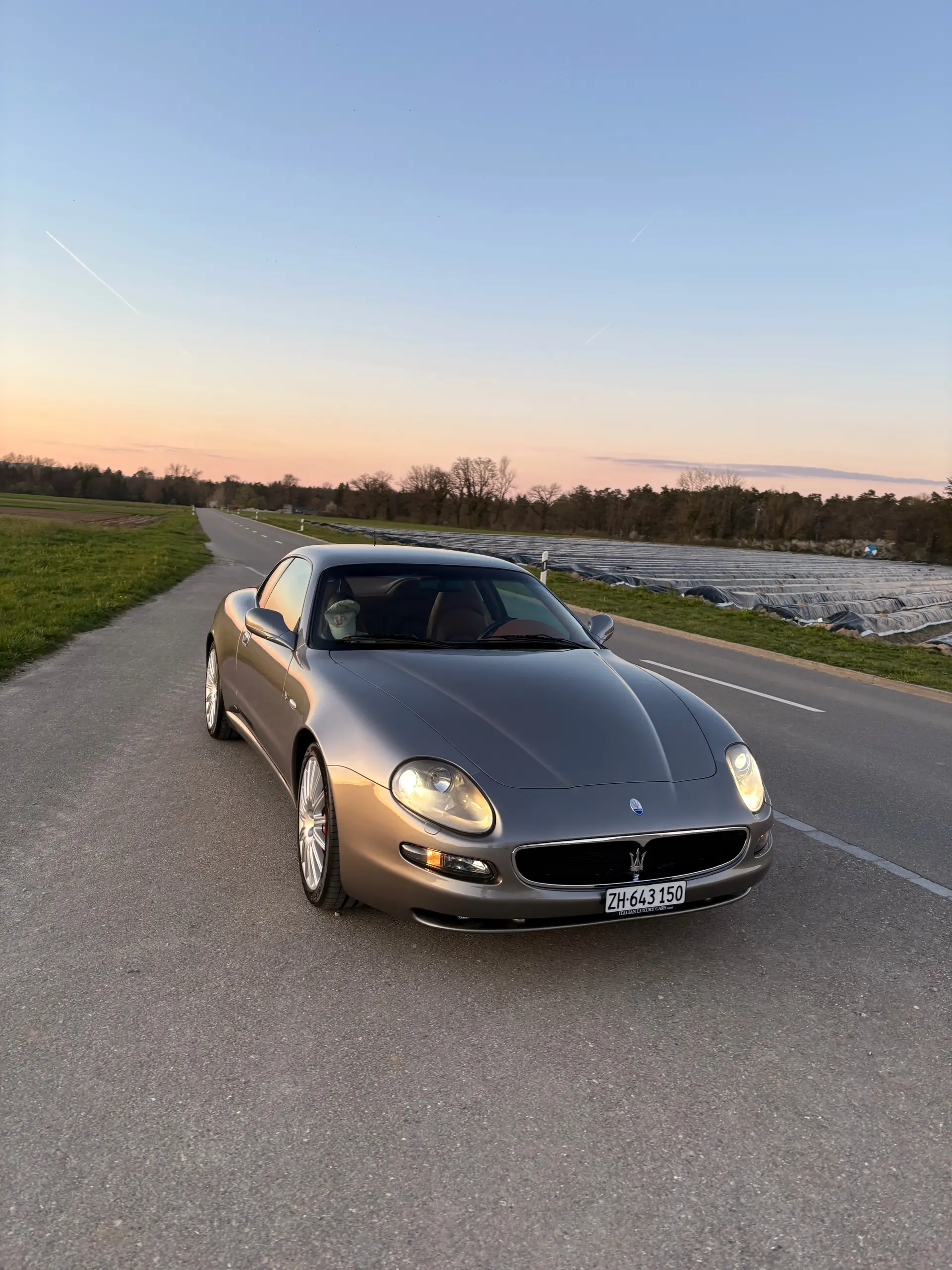 Maserati Coupe Gt 2003 occasion Neftenbach — 4