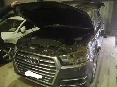 Audi Q7 3.0 V6 TDI 272 quattro — SUV premium diesel, transmission automatique — vue extérieure