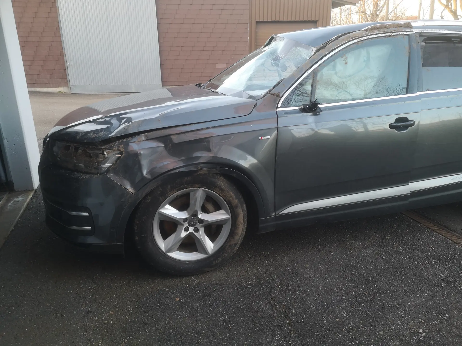 Audi Q7 2016 occasion Hämikon — 5