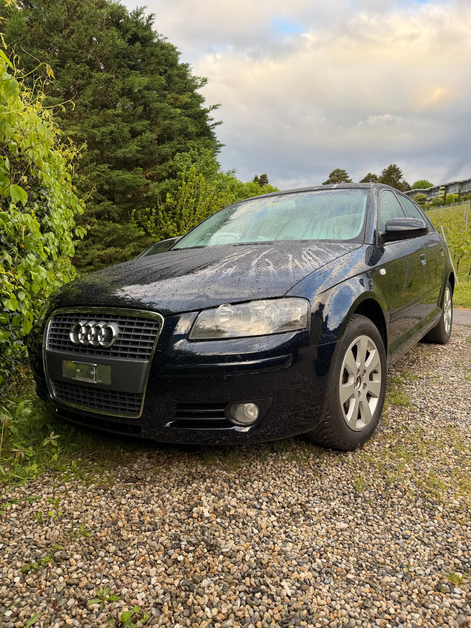 Audi A3 1.8 T FSI Ambiente — Compacte sportive, 75'000 km, impeccable