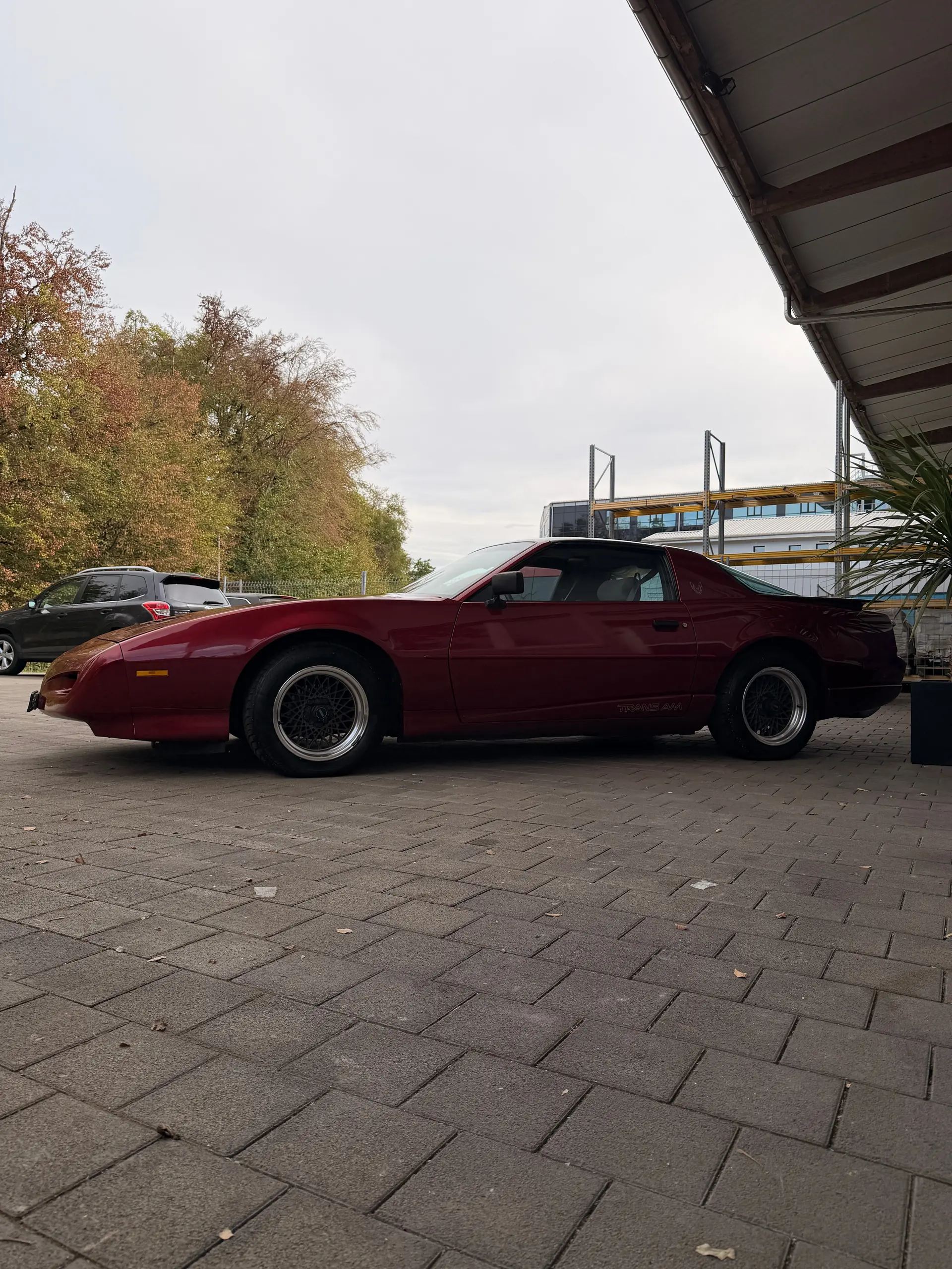 Pontiac Firebird 1991 occasion Seon — 3