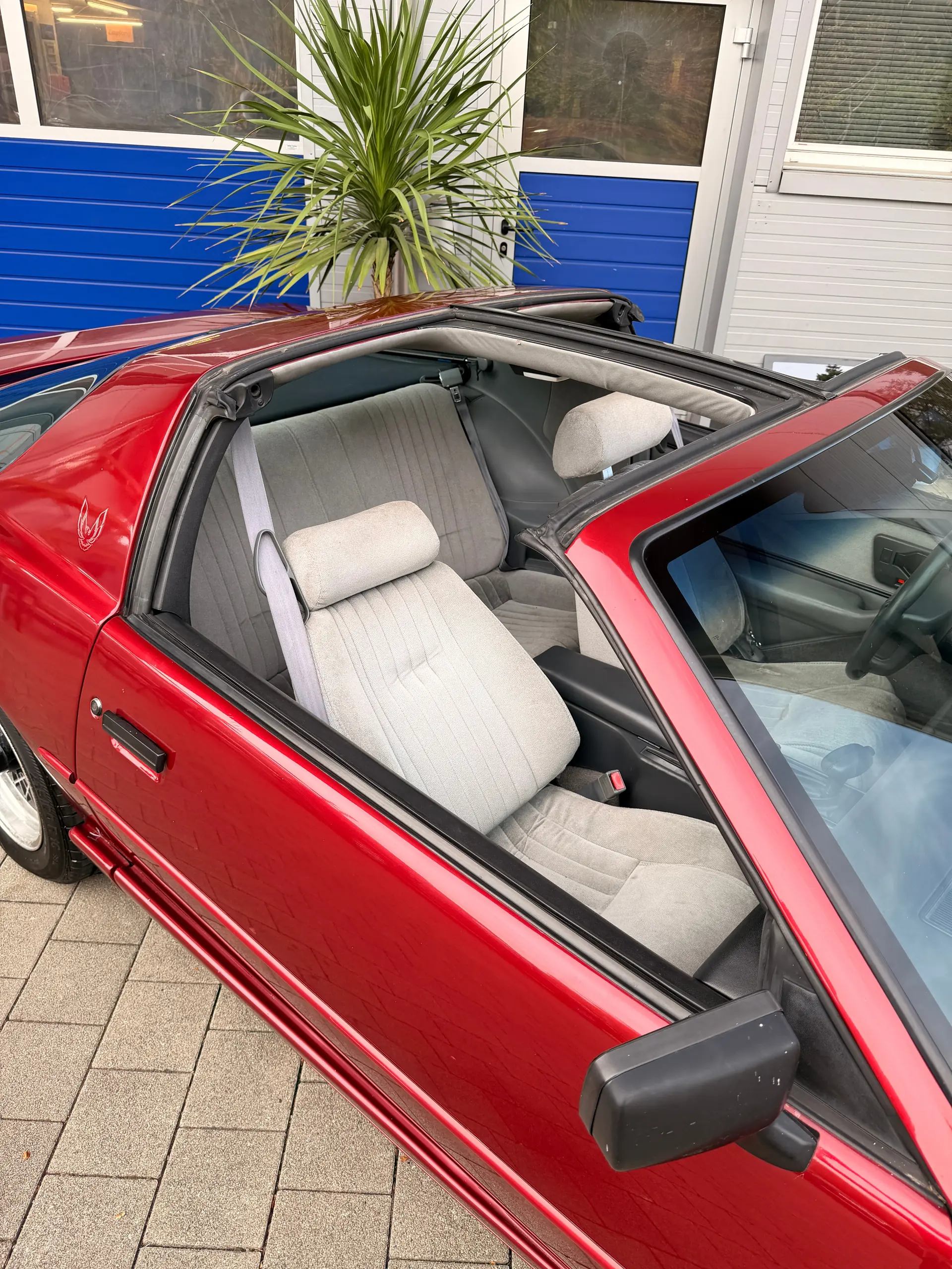 Pontiac Firebird 1991 occasion Seon — 2