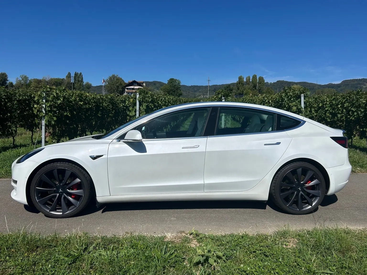 Tesla Model 3 2020 occasion Nyon — 3