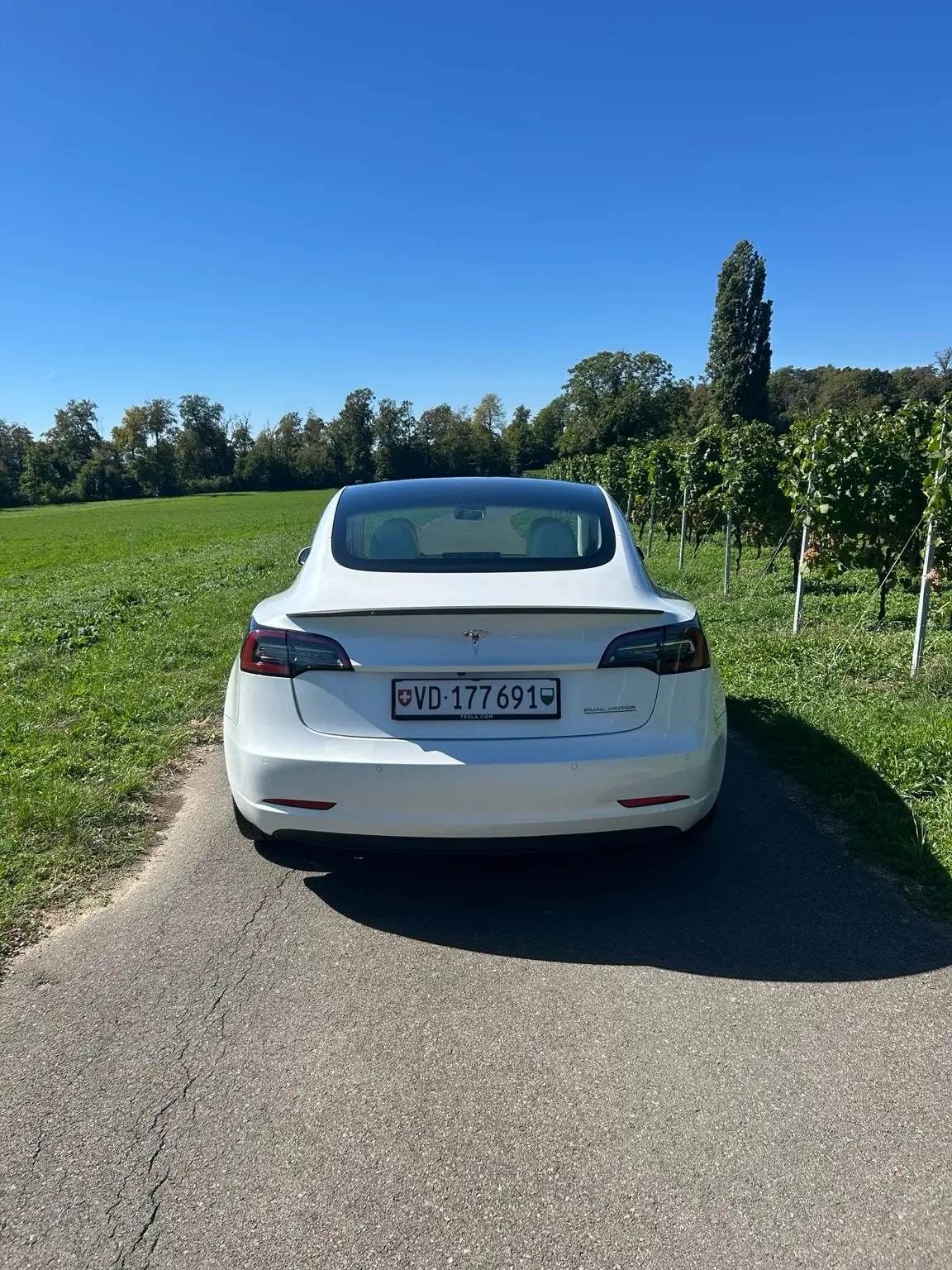 Tesla Model 3 2020 occasion Nyon — 5