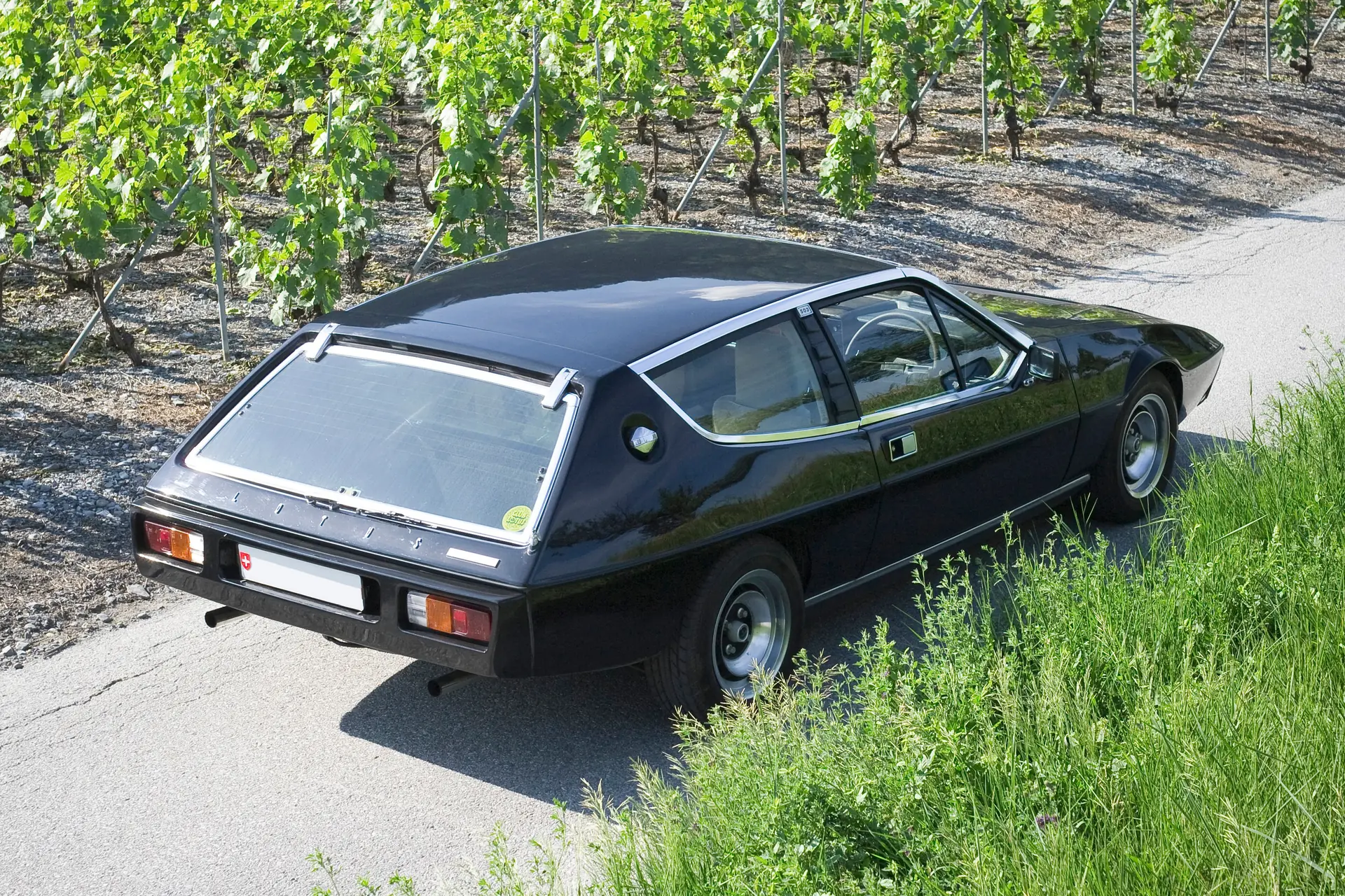Lotus Elite 1979 occasion Ardon — 1