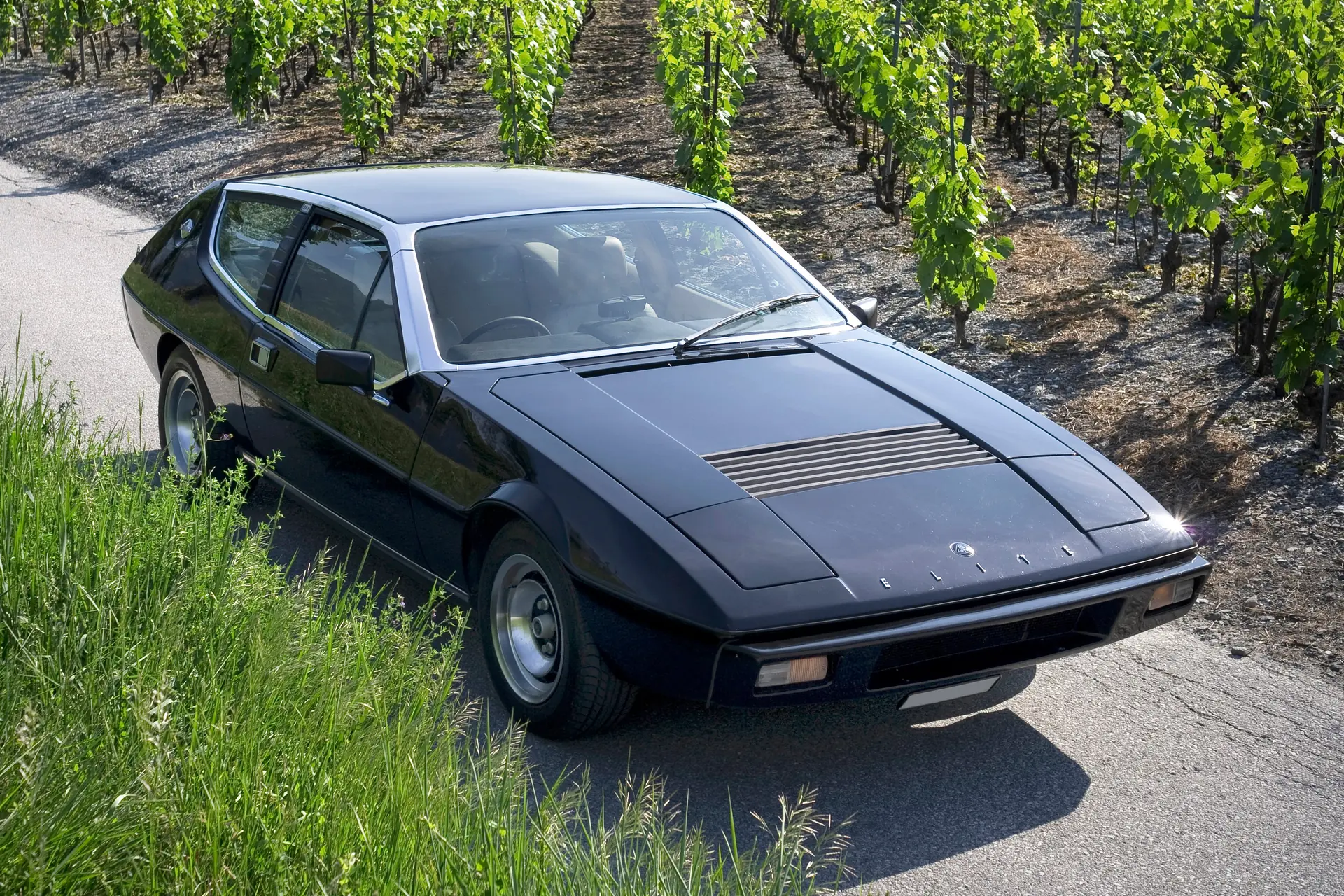 Lotus Elite 1979 occasion Ardon — 5