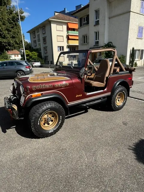 Jeep Cj 1980 occasion Bienne — 1