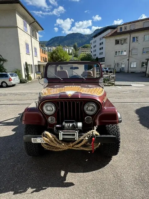 Jeep Cj 1980 occasion Bienne — 2