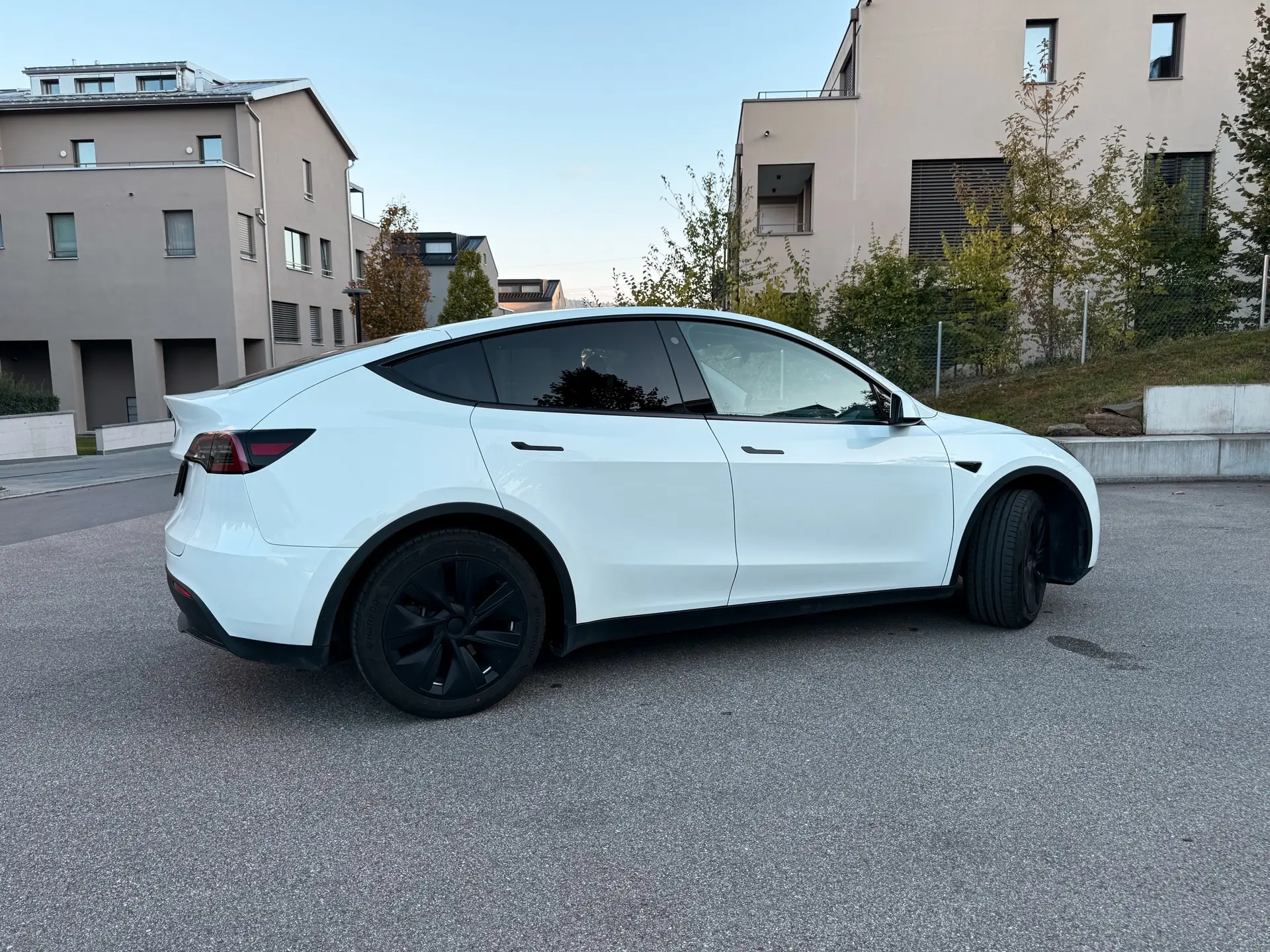Tesla Model Y 2023 occasion Steinhausen — 3