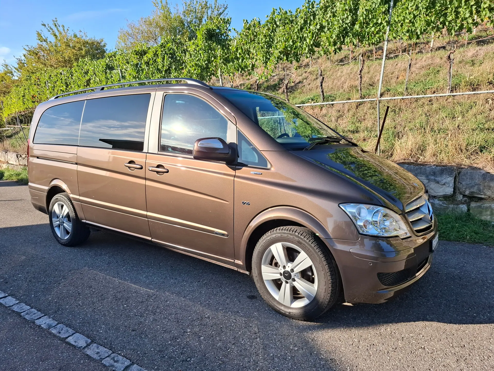 Mercedes-Benz Viano 2013 occasion Endingen — 1