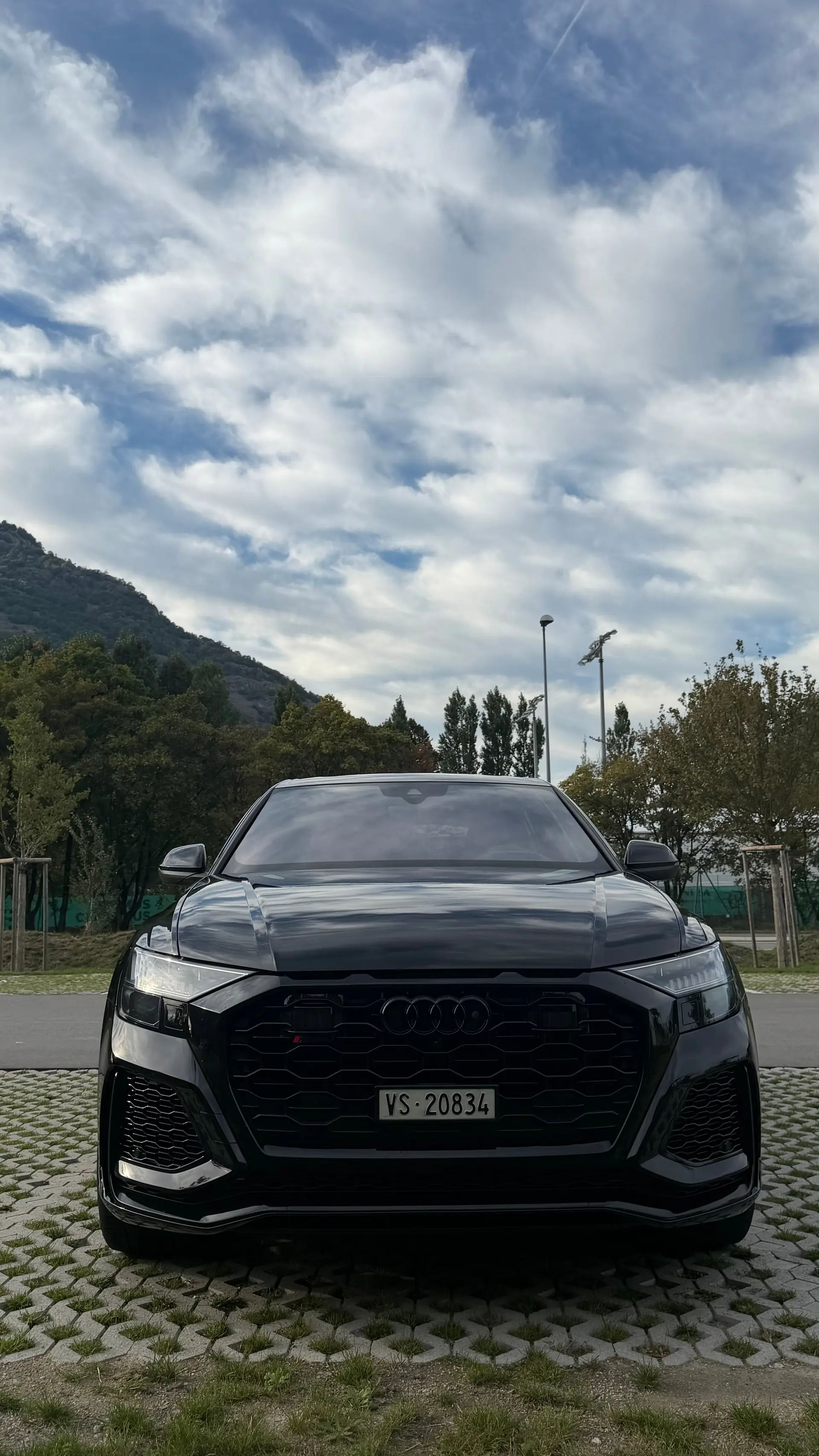 Audi Rsq8 2024 occasion Martigny — 3