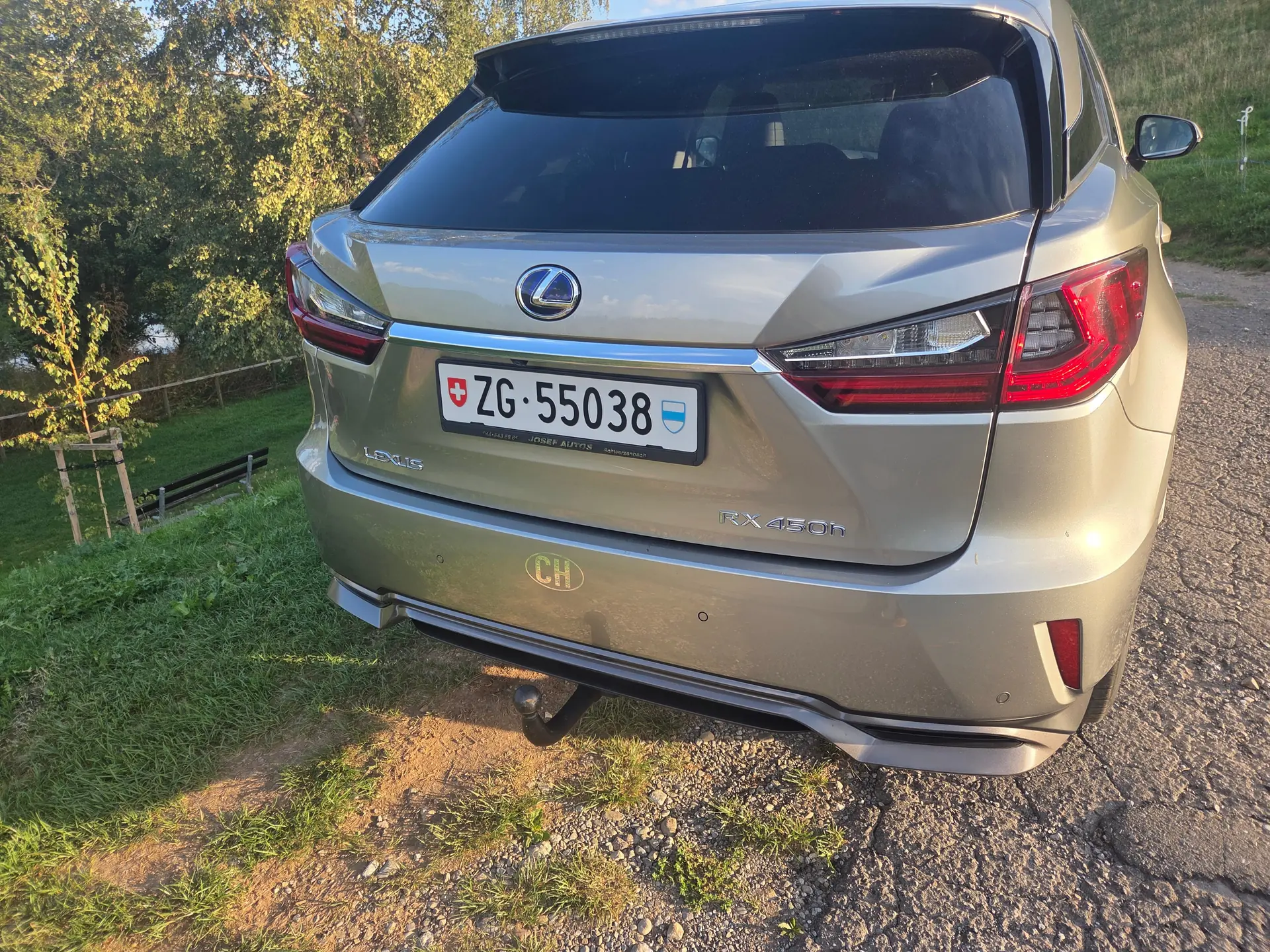 Lexus RX 2016 occasion Finstersee — 5