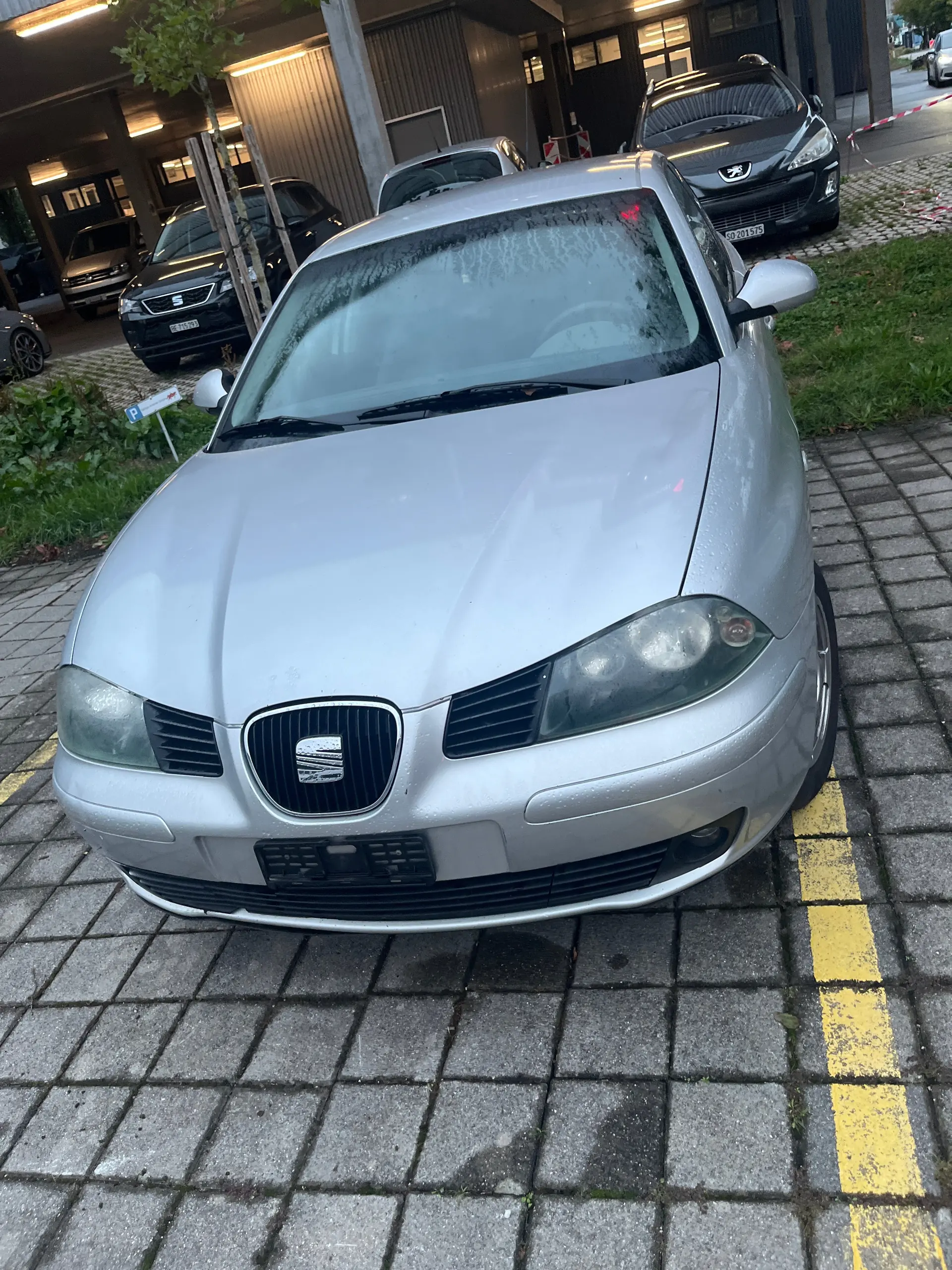 SEAT Ibiza 2004 occasion Brügg BE — 2