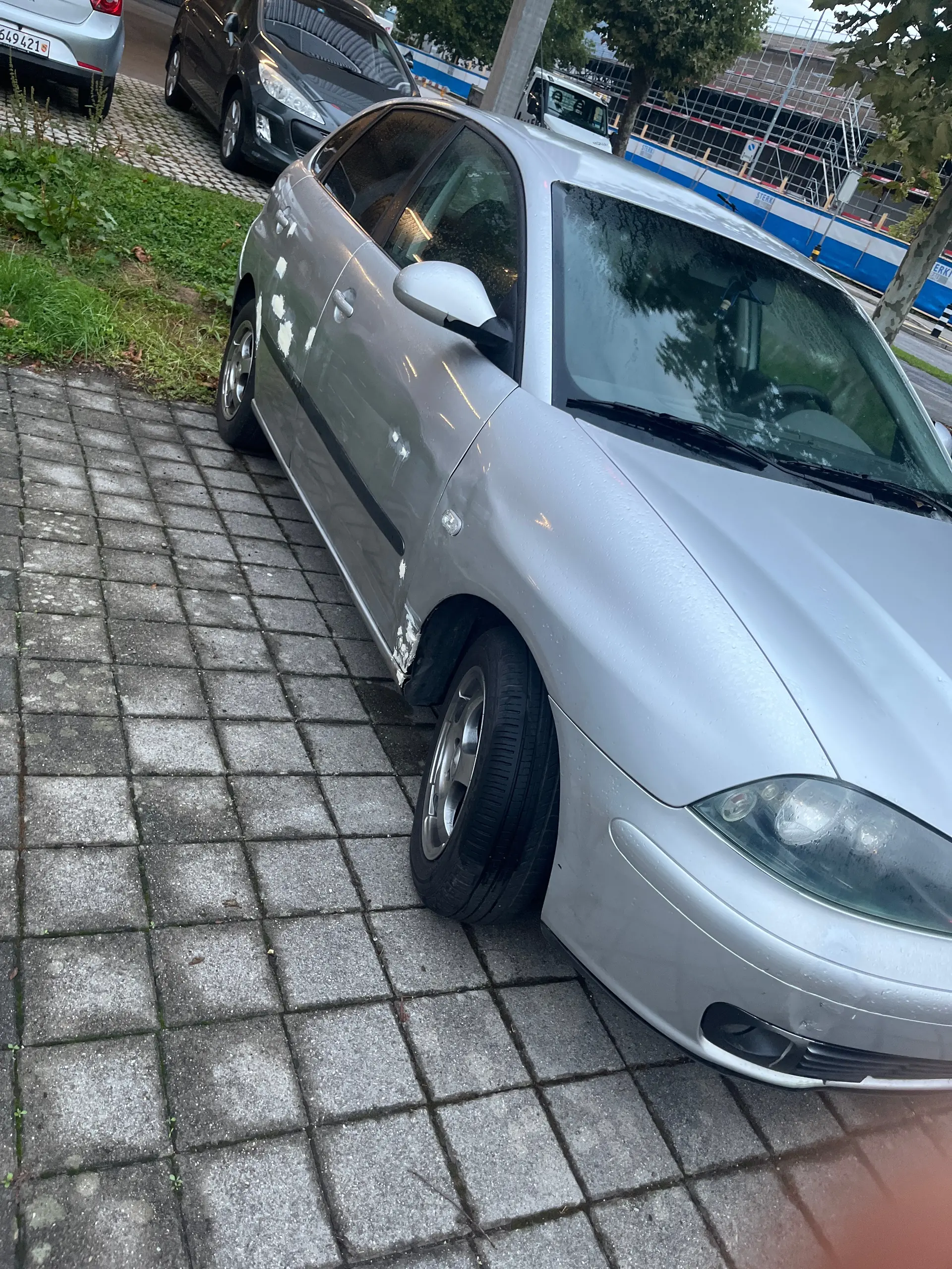 SEAT Ibiza 2004 occasion Brügg BE — 3