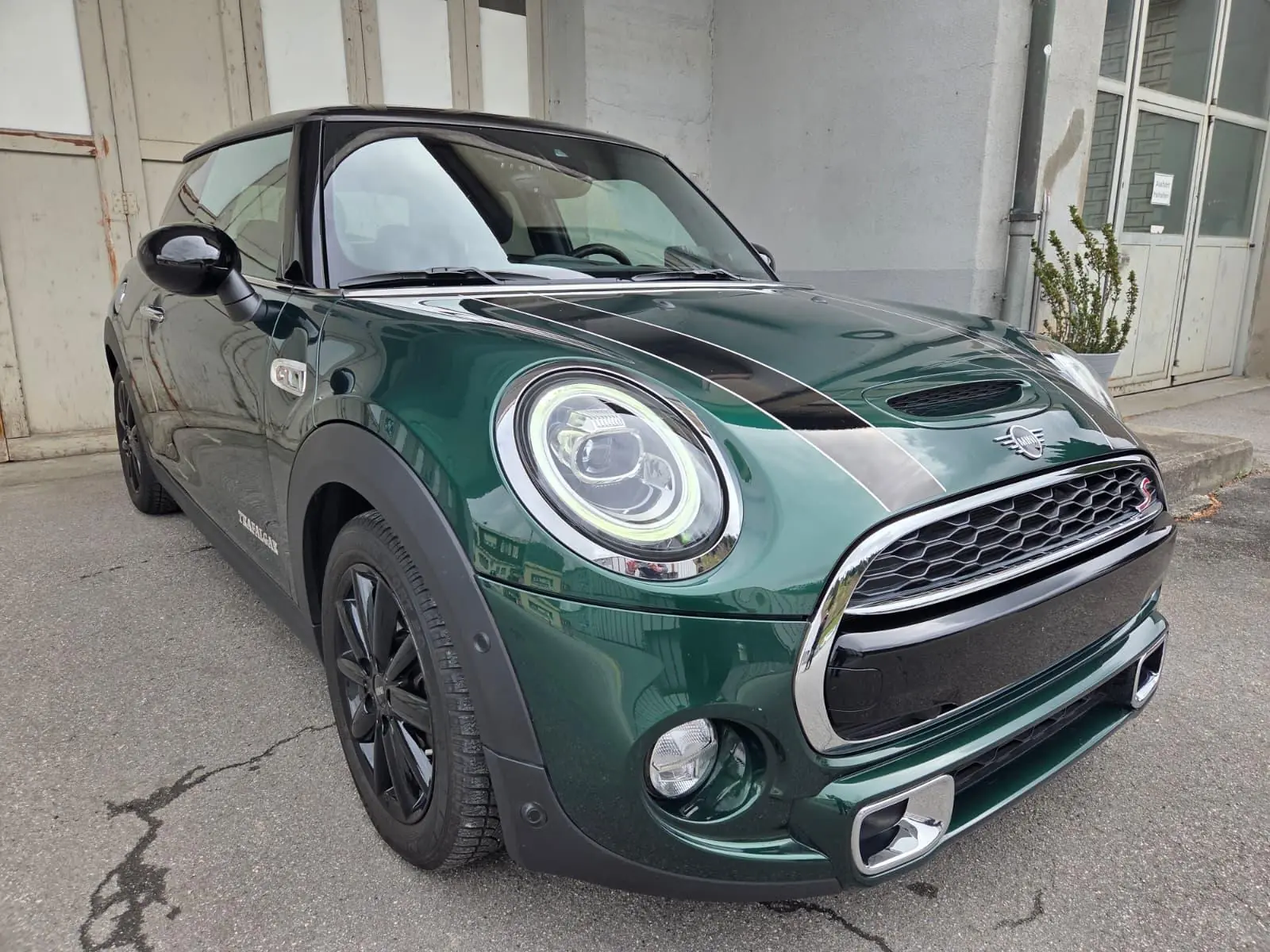MINI Mini 2019 occasion Winterthur — 2