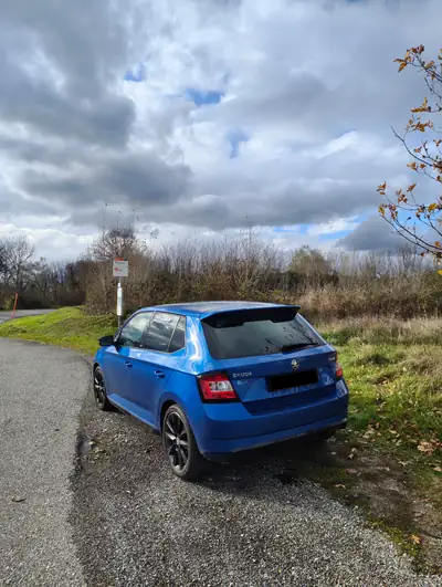 Skoda Fabia 1.2 TSI Monte Carlo — Citadine dynamique, toit panoramique, parfait état — intérieur