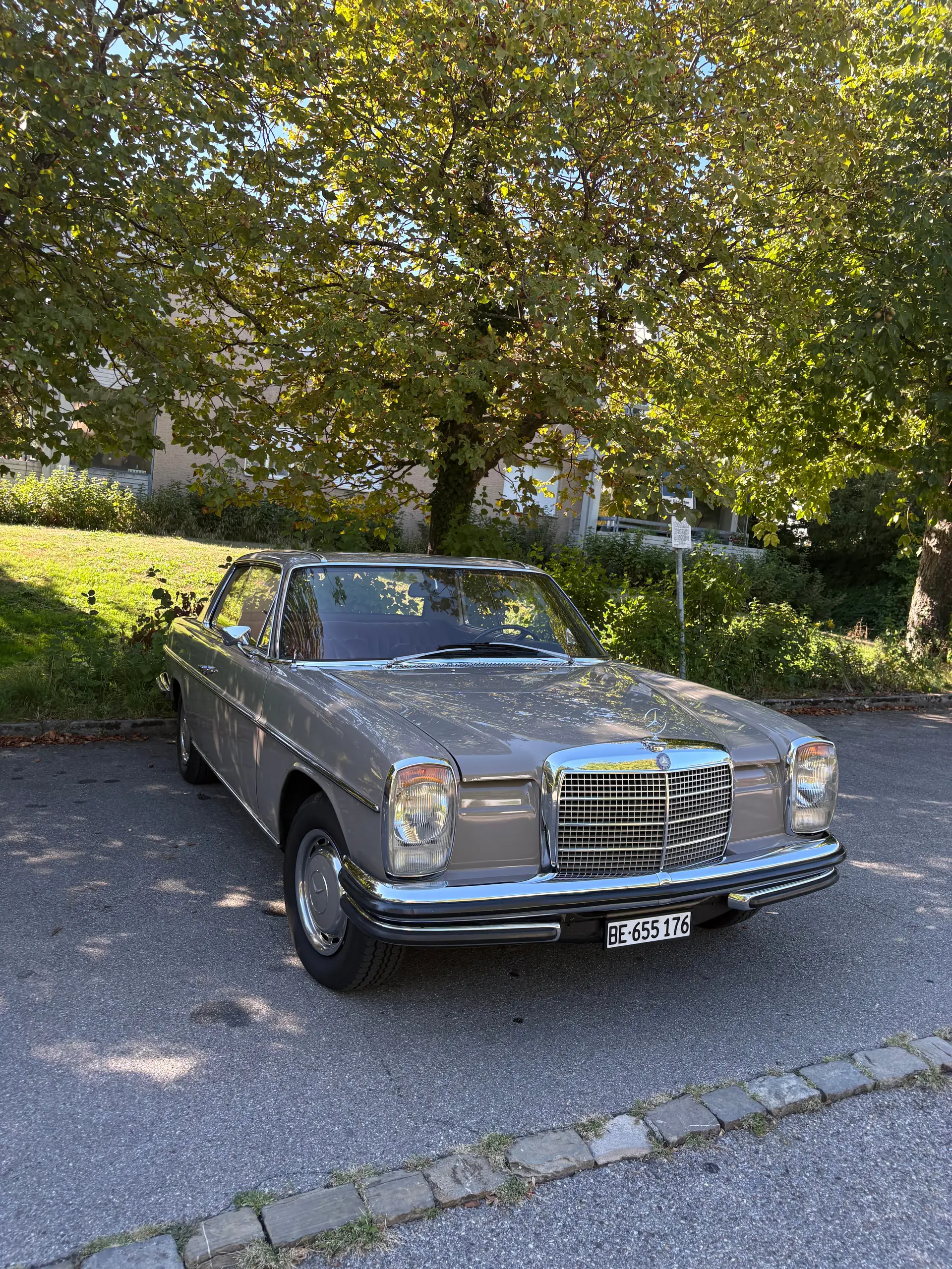 Mercedes-Benz 250 1970 occasion Bern — 1