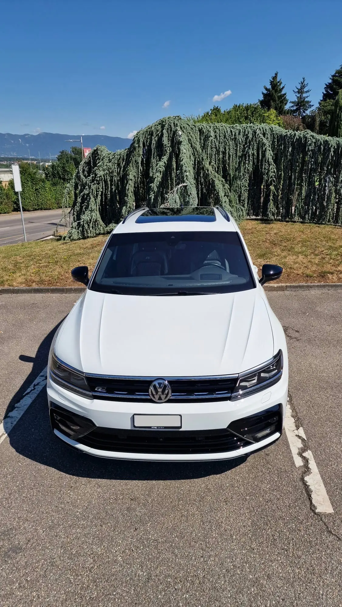 Volkswagen Tiguan 2019 occasion Le Grand-Saconnex — 2