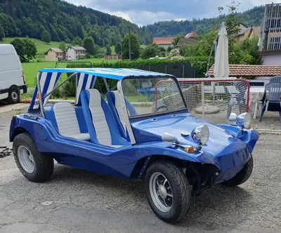 VW Buggy 1975 — Icône cabriolet vintage, moteur essence fiable — arrière