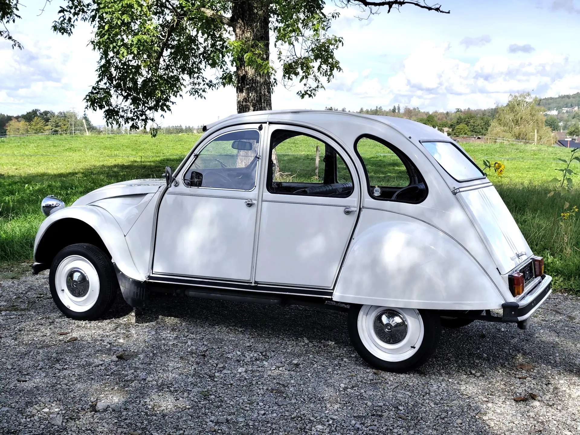 Citroen 2cv 1987 occasion Hinwil — 5