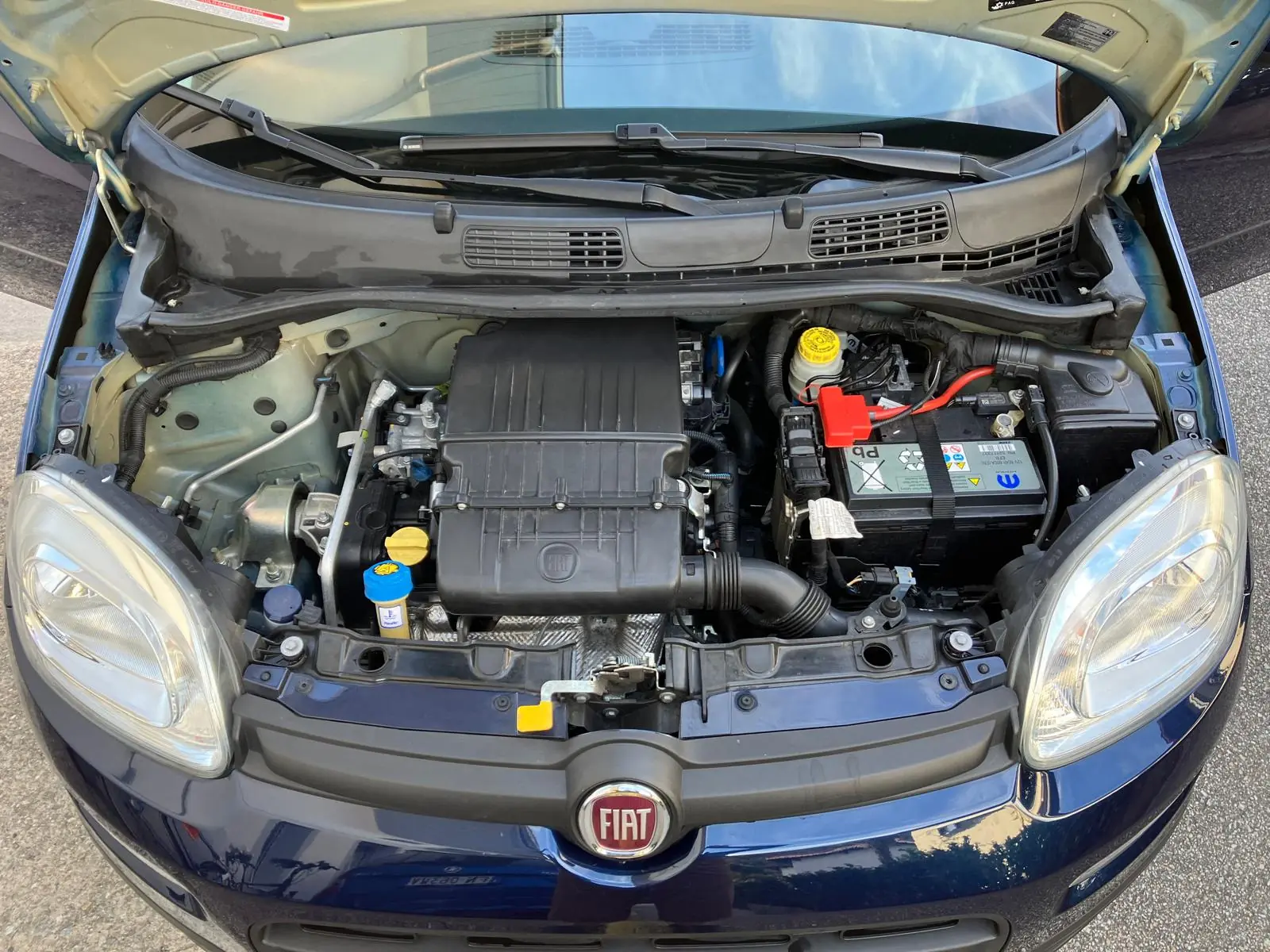 Fiat Panda 2020 occasion Losone — 5