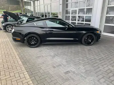 Ford Mustang 2.3 EcoBoost — Coupé américain sportif, échappement sport et très bien entretenue — Außenansicht