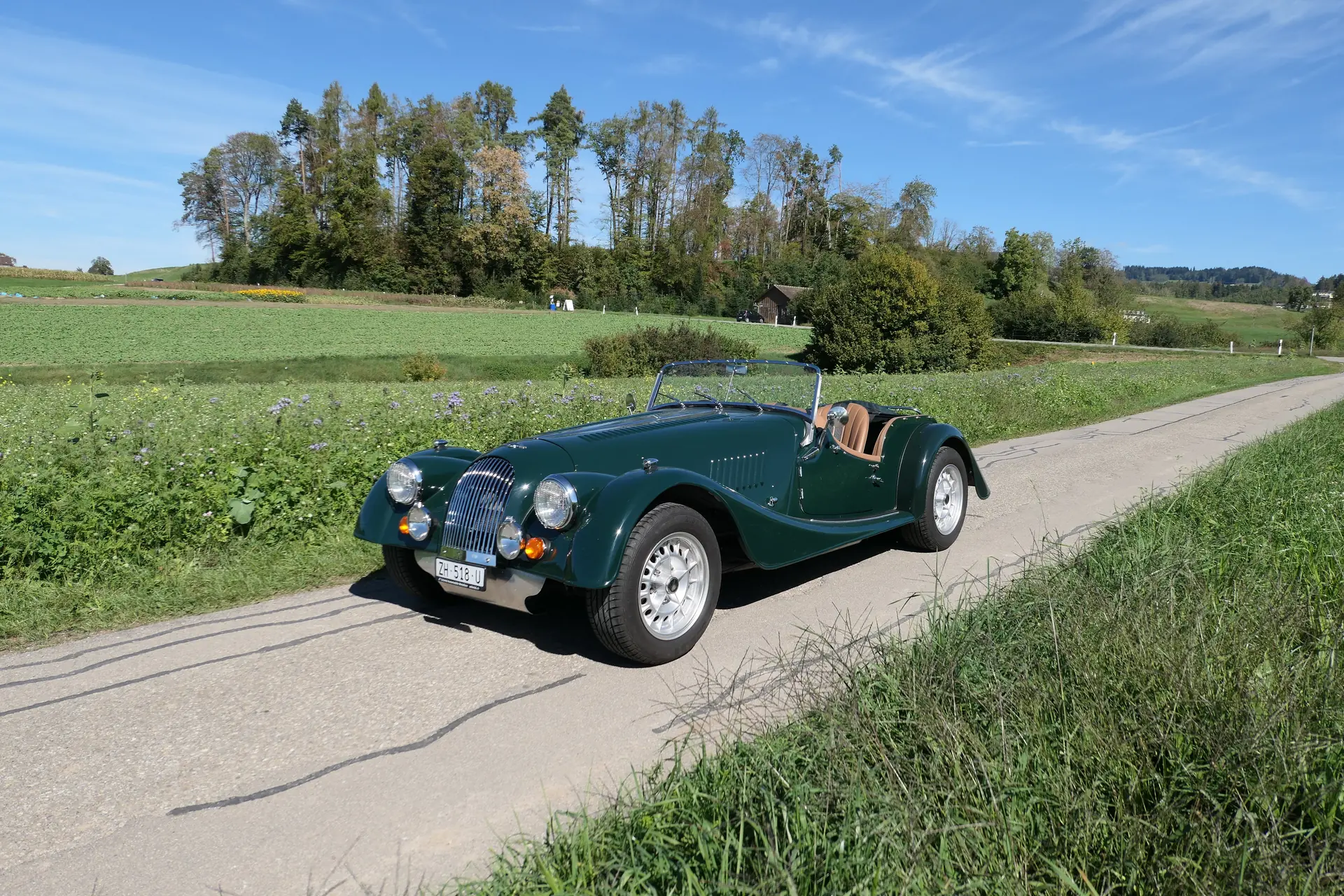 Morgan Plus 8 1976 occasion Wetzikon — 1
