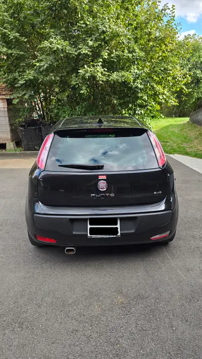 Fiat Punto Evo 1.4 T MultiAir 135 Sport — Citadine dynamique, entretien récent — Innenraum