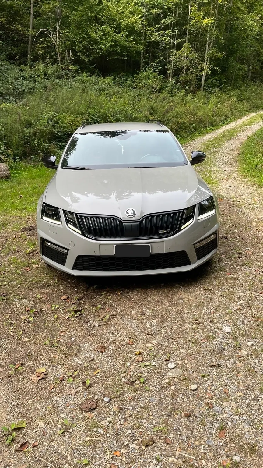 Skoda Octavia 2020 occasion Sternenberg — 2