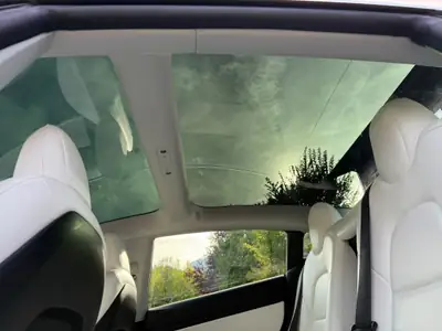 Tesla Model 3 Performance Dual Motor AWD — Électrique haute performance, 189'000 km — détail
