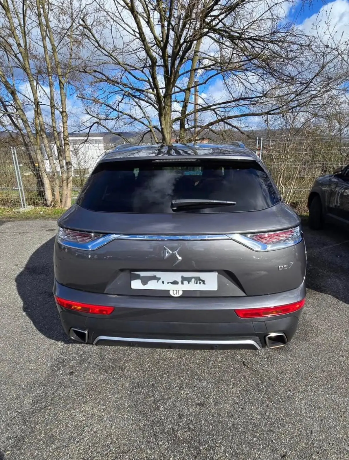 Ds Automobiles Ds7 2019 occasion Dornach — 2