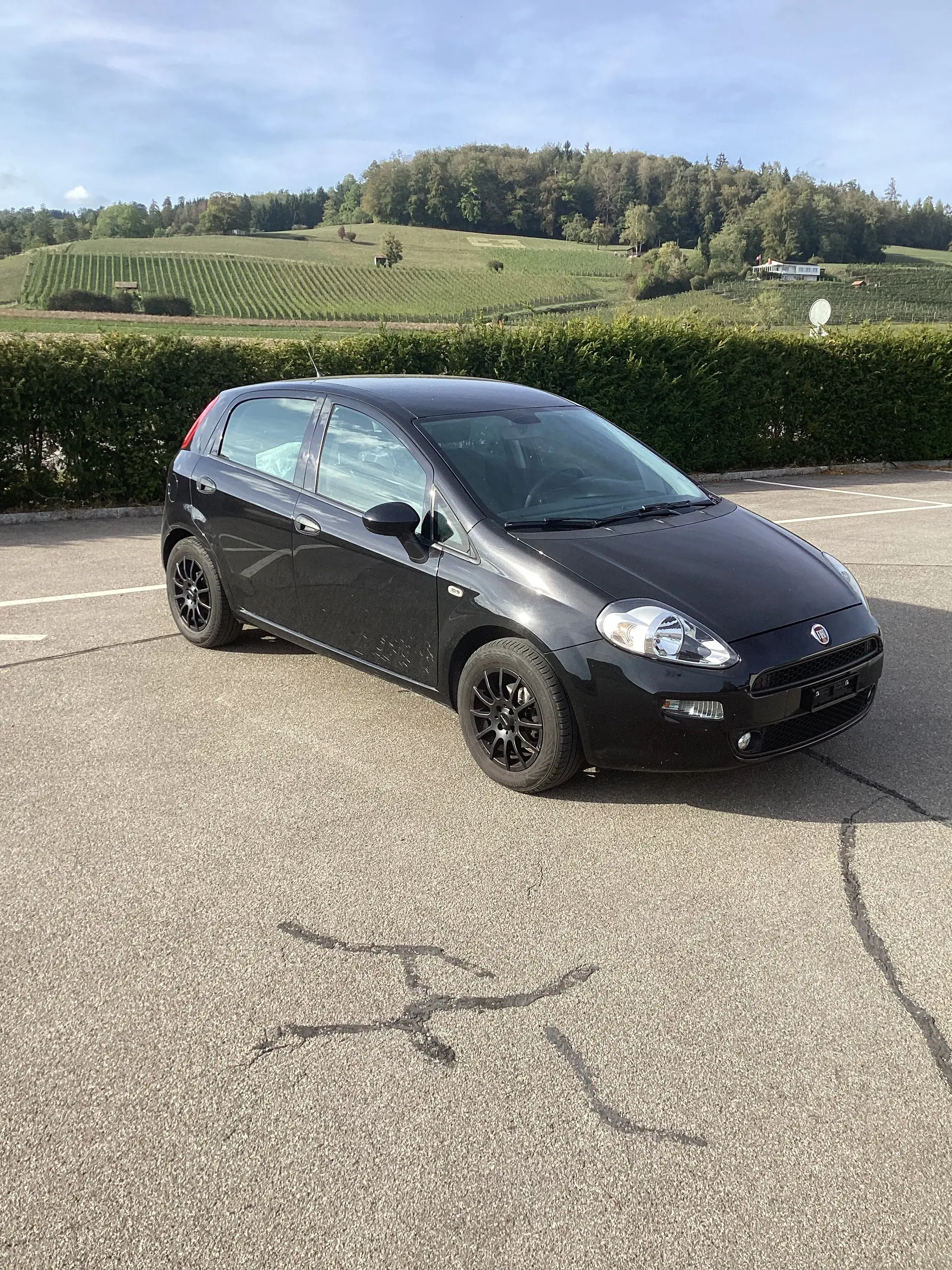 Fiat Punto 2017 occasion Aesch — 1