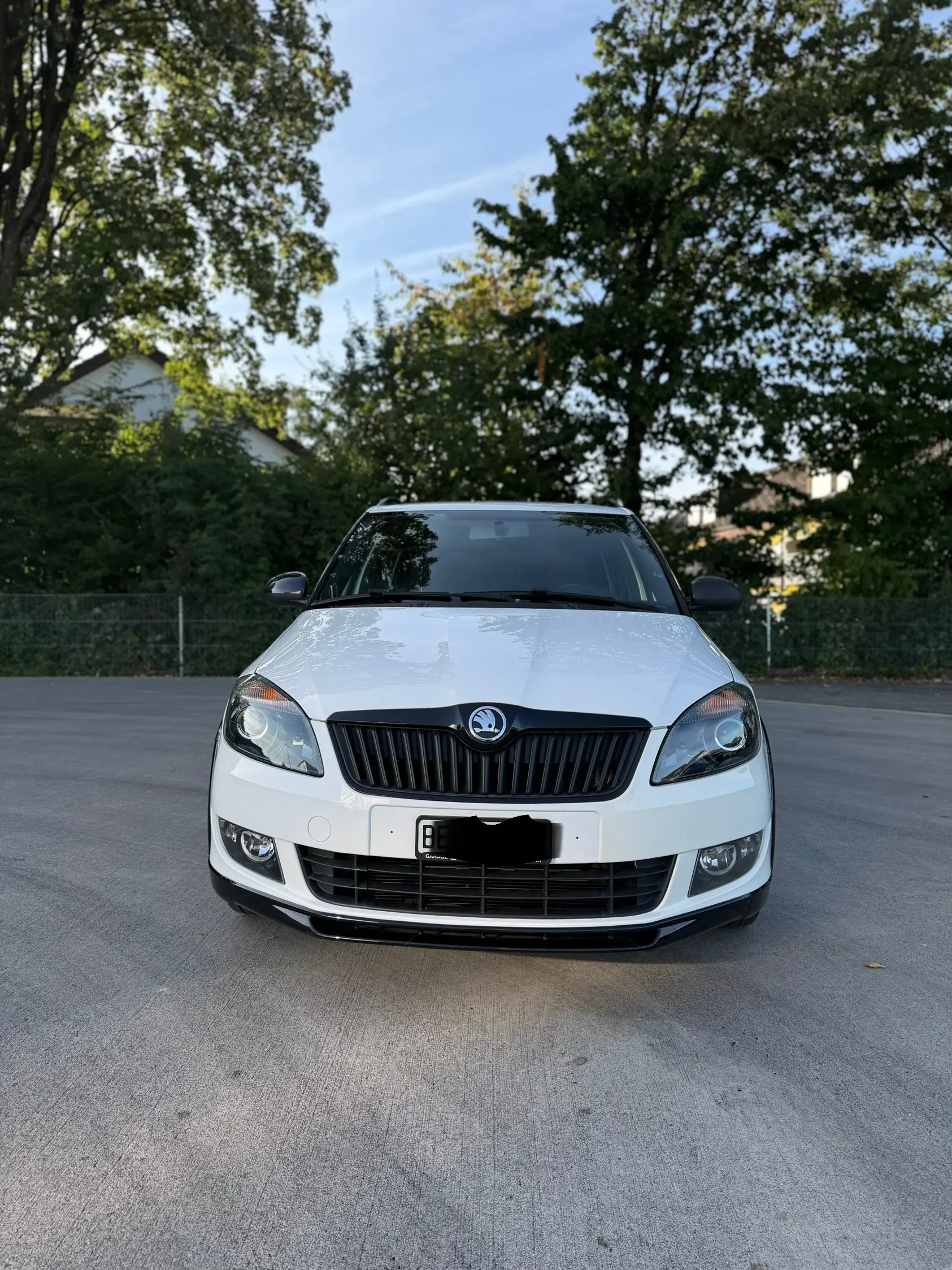 Skoda Fabia 2014 occasion alchenflüh — 2