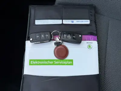 Skoda Fabia 1.2 TSI Monte Carlo — Citadine spacieuse et économe, 92'000 km — detail