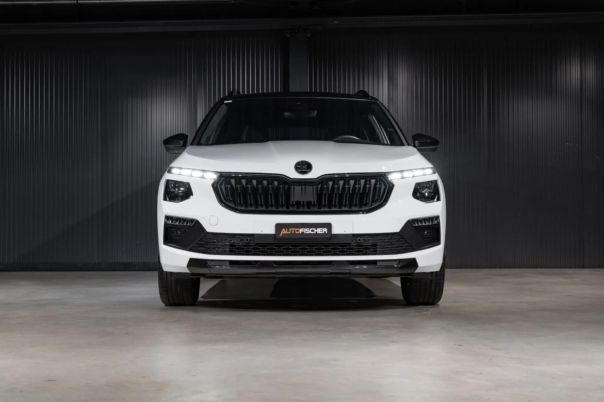 Skoda Kamiq 2025 occasion Ettingen — 4