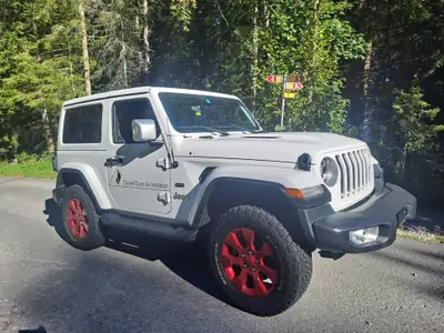 Jeep Wrangler 2.2 MultiJet Rubicon — 4x4 mythique, diesel robuste, 122'000 km — Miniatura 7