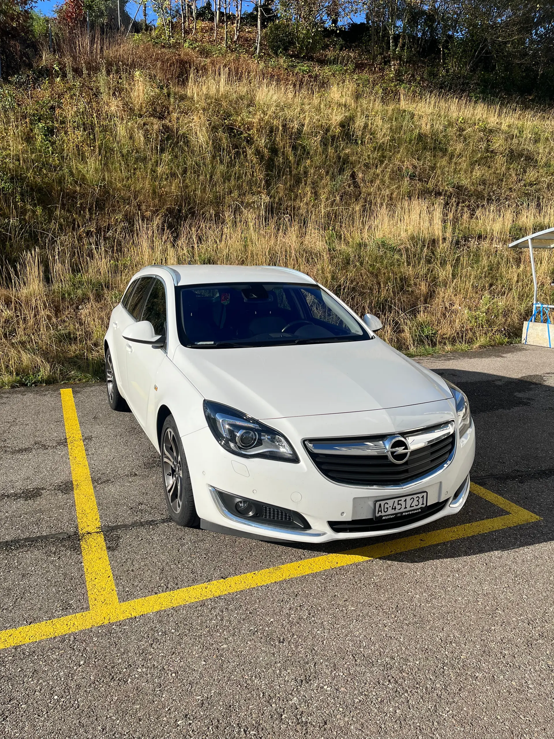 Opel Insignia 2015 occasion Herznach — 4