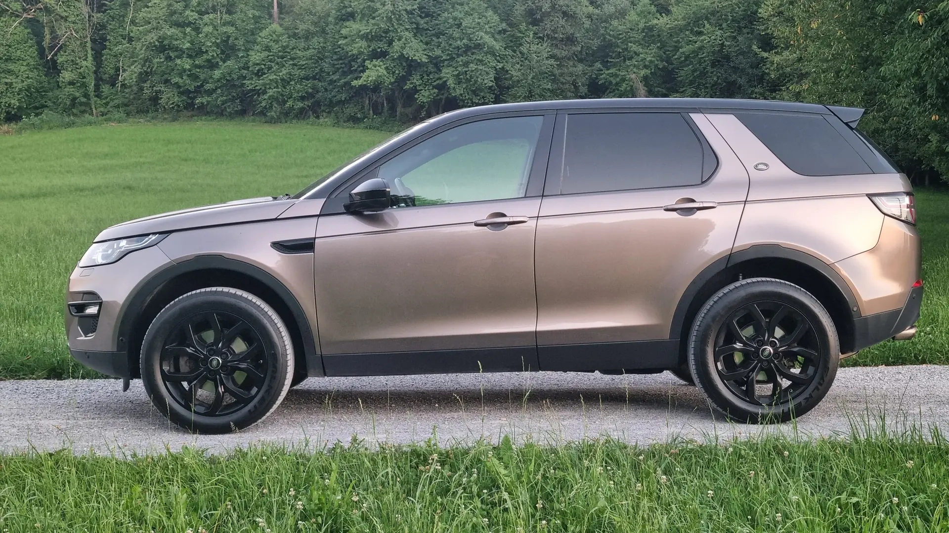 Land Rover Discovery Sport 2016 occasion Stäfa — 1